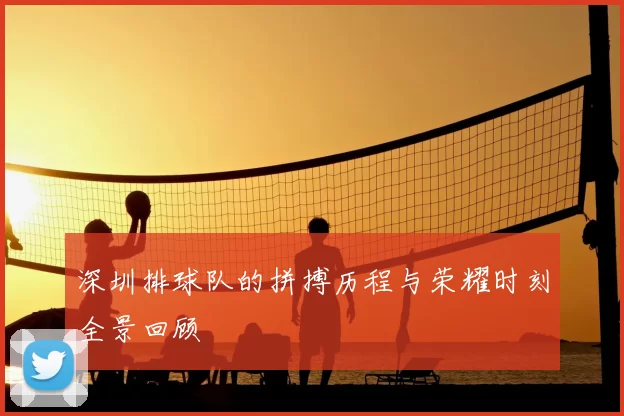深圳排球队的拼搏历程与荣耀时刻全景回顾