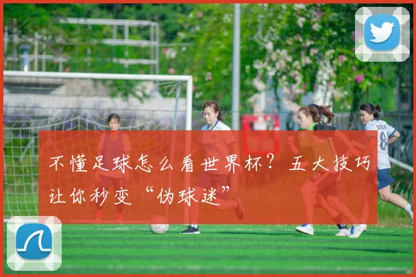 不懂足球怎么看世界杯？五大技巧让你秒变“伪球迷”