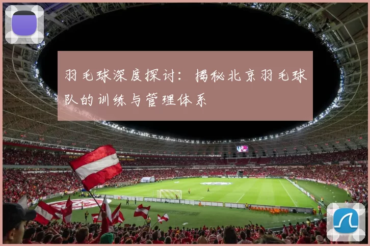 羽毛球深度探讨：揭秘北京羽毛球队的训练与管理体系