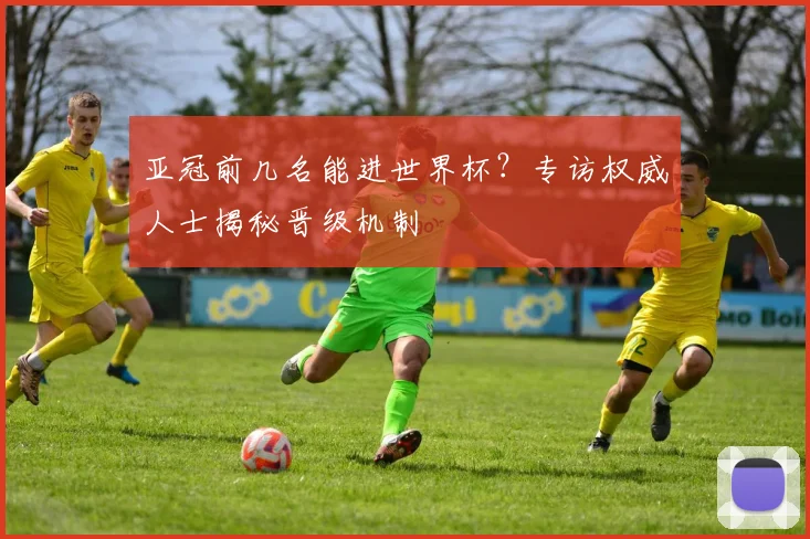 亚冠前几名能进世界杯?专访权威人士揭秘晋级机制