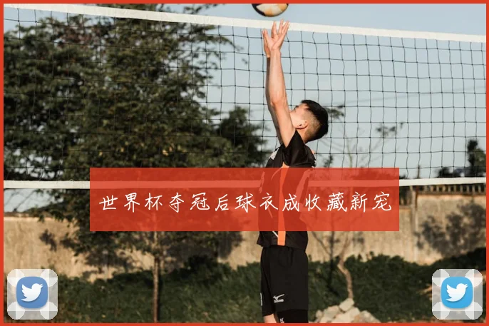 世界杯夺冠后球衣成收藏新宠