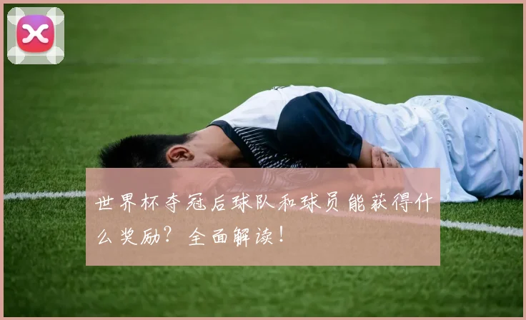 世界杯夺冠后球队和球员能获得什么奖励?全面解读!