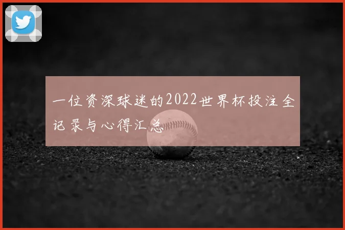 一位资深球迷的2022世界杯投注全记录与心得汇总