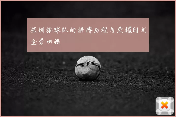 深圳排球队的拼搏历程与荣耀时刻全景回顾