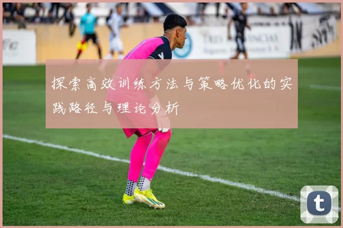 探索高效训练方法与策略优化的实践路径与理论分析