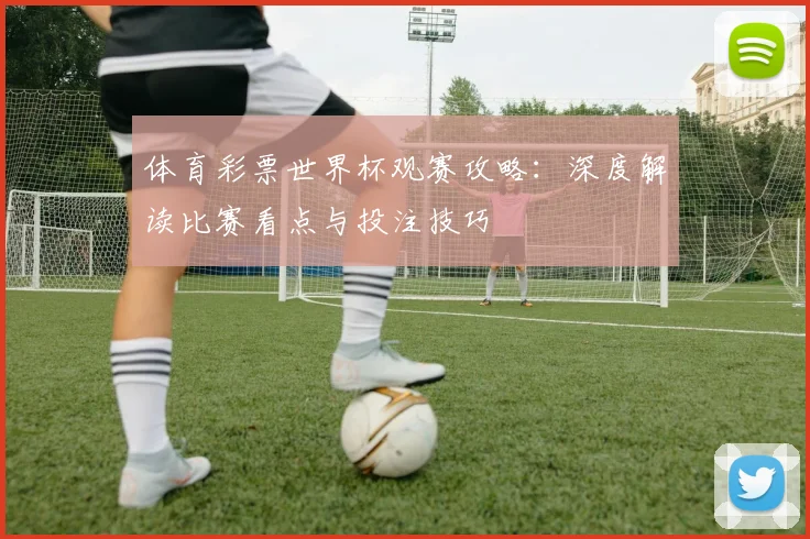 体育彩票世界杯观赛攻略：深度解读比赛看点与投注技巧