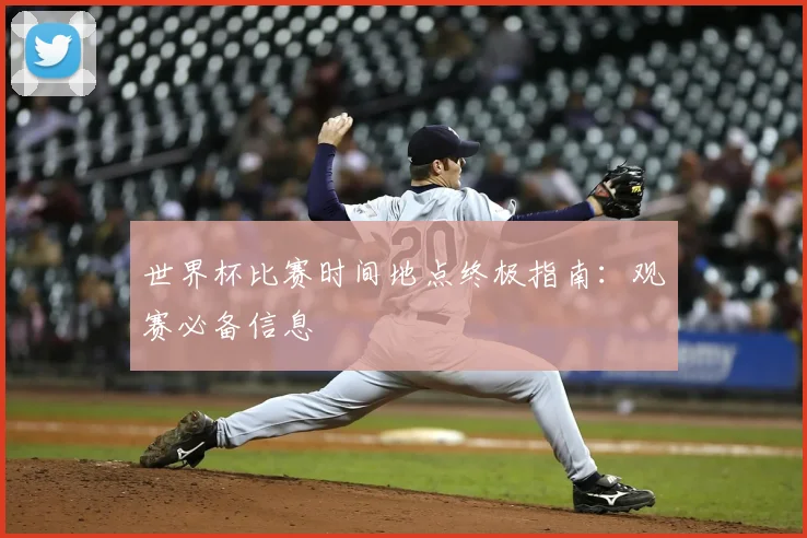 世界杯比赛时间地点终极指南：观赛必备信息