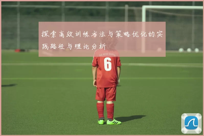 探索高效训练方法与策略优化的实践路径与理论分析
