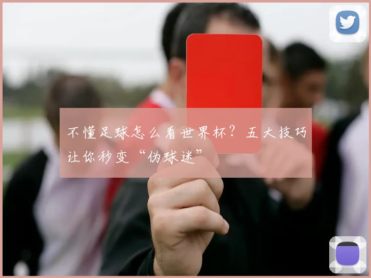 不懂足球怎么看世界杯？五大技巧让你秒变“伪球迷”
