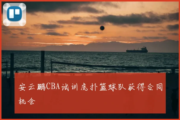 安云鹏CBA试训虎扑篮球队获得合同机会