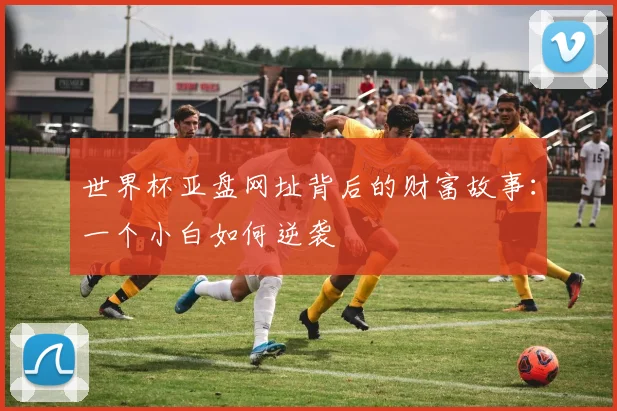 世界杯亚盘网址背后的财富故事:一个小白如何逆袭