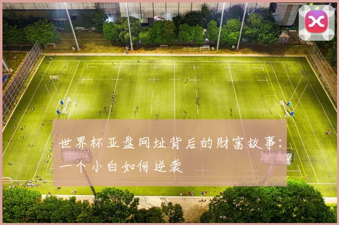 世界杯亚盘网址背后的财富故事:一个小白如何逆袭