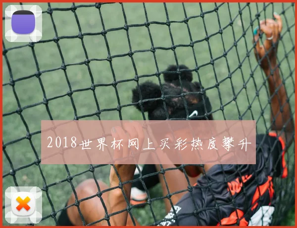 2018世界杯网上买彩热度攀升