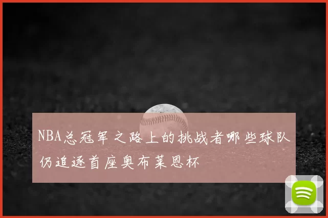 NBA总冠军之路上的挑战者哪些球队仍追逐首座奥布莱恩杯